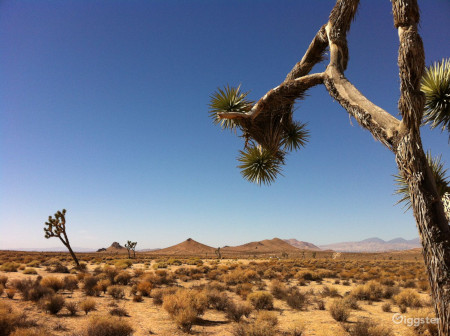 Ultimate Graveyard: 700 Acre Mojave Desert Apocalyptic Location
